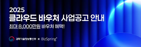 BizSpring Promotion