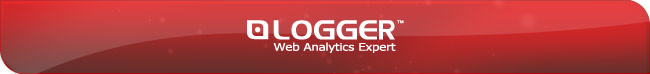 LOGGER™ Web Analytics Expert